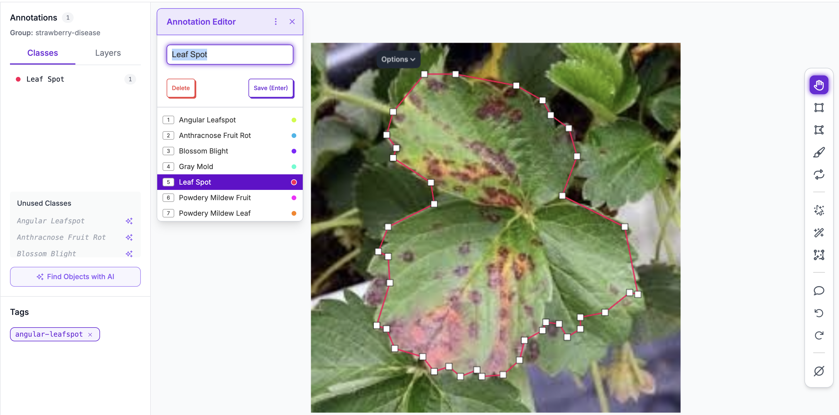 Roboflow labeling interface